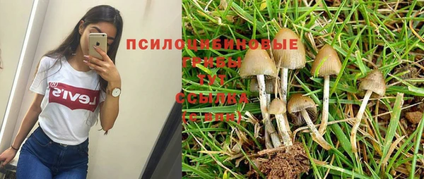 кокс Магадан