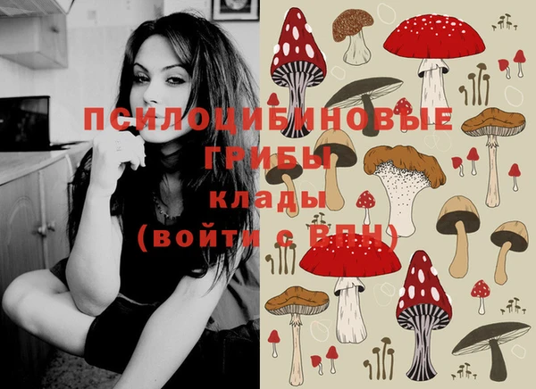 кокс Магадан